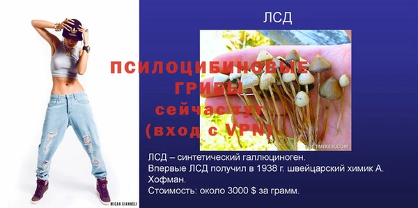 мдма Каменка
