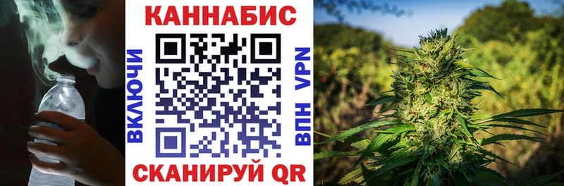 Каннабис AK-47 Кольчугино